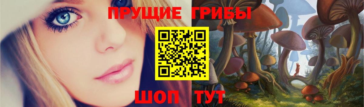 Галлюциногенные грибы мицелий  Вход с VPN  Кизляр 